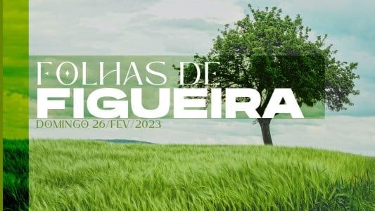 Folhas de figueira