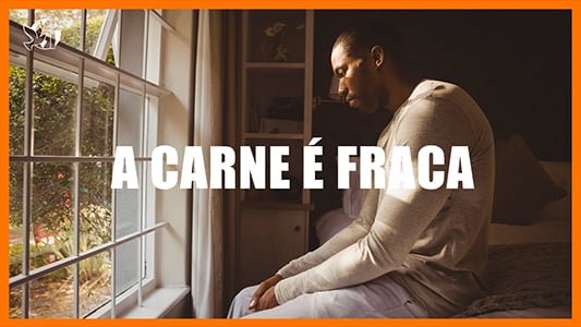 A carne é fraca