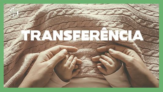 O melhor lugar do mundo EP 152 - Transferência