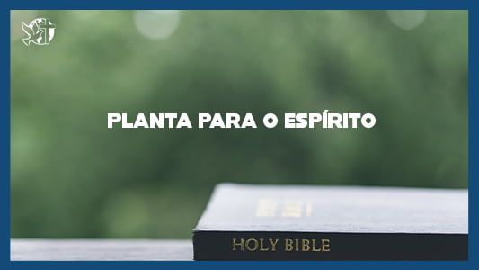Famintos por Deus EP 186 - Planta para o Espírito