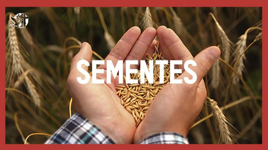 Caráter forte EP 163 - Sementes