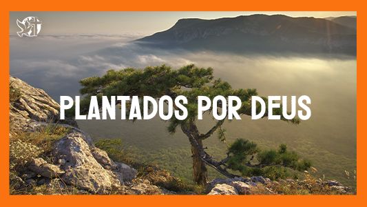 Jesus vai voltar - Plantados por Deus
