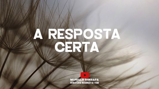 Azeite Extra EP 172 - A resposta certa