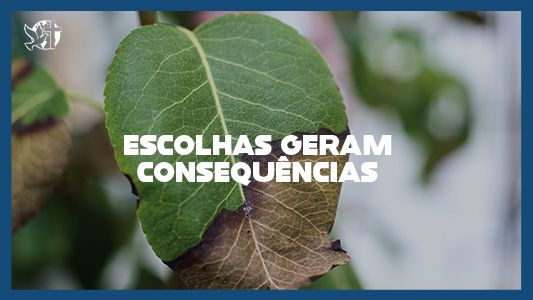 Famintos por Deus EP 218 - Escolhas geram consequências.
