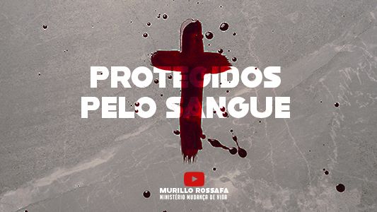 Azeite Extra EP 187 - Protegidos pelo sangue