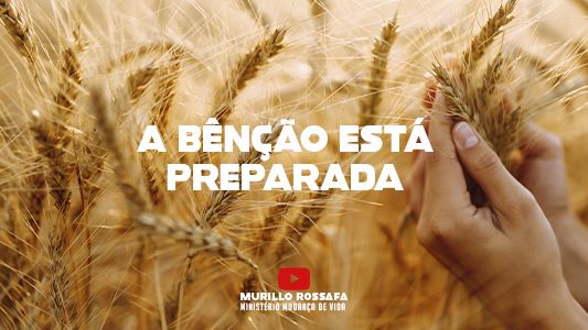 Azeite Extra EP 194 - A benção está preparada