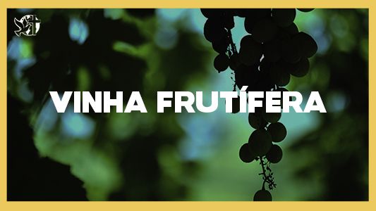 Levante-se Motivacional - Vinha frutífera.