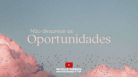 Azeite Extra EP 227 - Não despreze as oportunidades