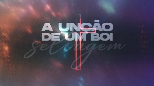 A unção de um boi selvagem | MMV MUSIC FLÓRIDA