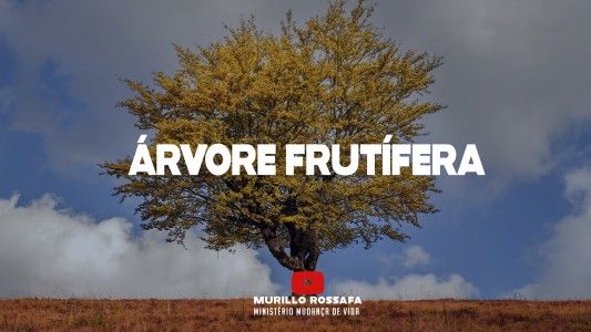 Azeite Extra EP 249 - Árvore frutífera