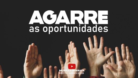 Azeite Extra EP 260 - Agarre as oportunidades