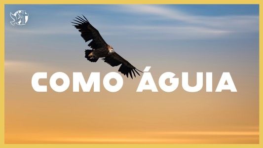 Levante-se Motivacional EP 553 - Como águia