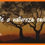 Jesus Vai Voltar – Até a natureza ensina 07.08.2026