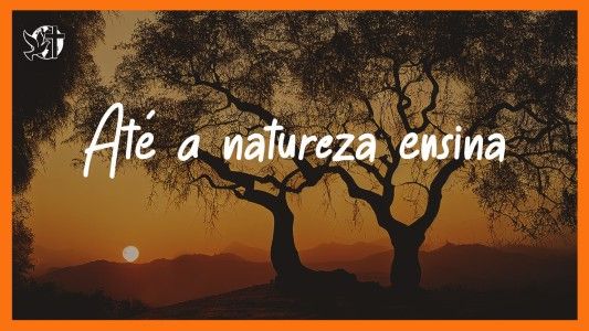 Jesus Vai Voltar - Até a natureza ensina 07.08.2026