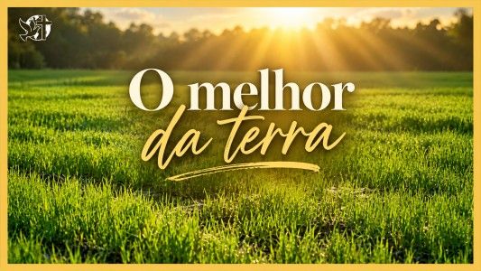 O melhor da terra - Levante-se Motivacional EP 563